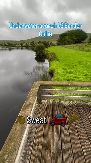 Chien policier.
Y a un truc ?