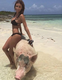 Une cochone à la plage