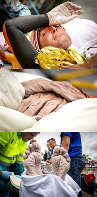 Mains et pieds de Maarten van der Weijden