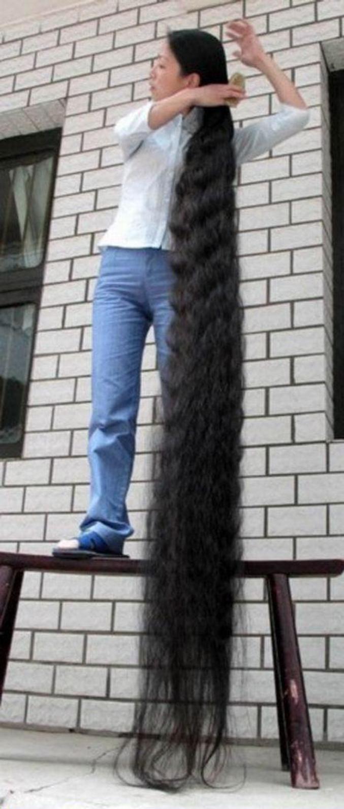 Les cheveux les plus longs du monde