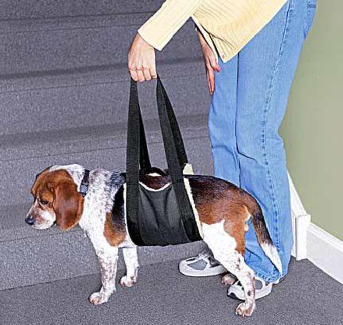 Un sac à chien très pratique.