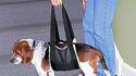 Sac à chien