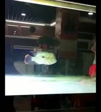 C'est qui le patron?