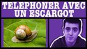 Téléphoner avec un escargot