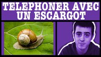 Téléphoner avec un escargot