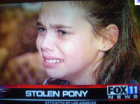 Poney volé