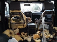 Laisser ses chiens dans la voiture