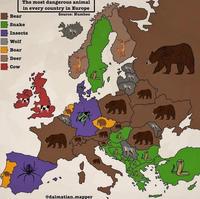Les animaux les plus dangereux pour chaque pays d'Europe