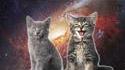 Space cats