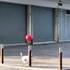 Je veux être toujour comme ce chien 