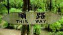This way