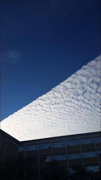 Nuage bien droit
