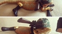 Lizard company