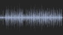 La chanson du Poireau (exception mix 2006)