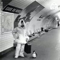 Une série de clichés signée Janol Apin