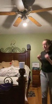 Confinement, jour 7049 : la revanche du PQ