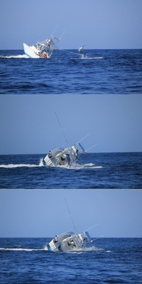 Marlin 1 - Bateau 0