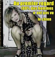 Elle a du chien