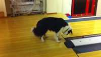 Faute au bowling