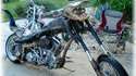 Gatorbike