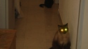 Target acquired