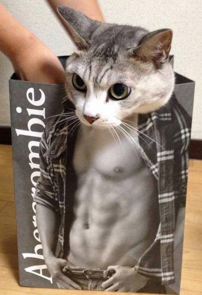 Chat Muscle