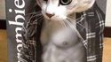 Chat musclé