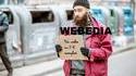 WEBEDIA ou le mendiant des internets