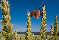 Après JCVD + camions