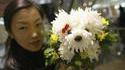 Chien fleur 2