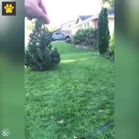 C'est lundi pour tout le monde