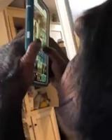 C’est lui qui me fourni le plus de fichier marrant 