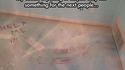 Pour les nouveaux occupants