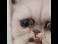 Poursuivi jusque dans sa maison