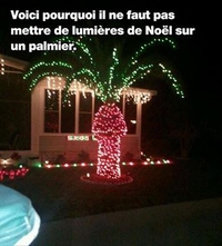 Palmier de Noël