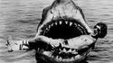 Requin végétarien