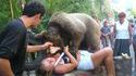 Gros nounours
