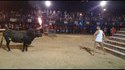 Flaming-horns Bull vs Idiot