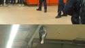 Intervention de la police