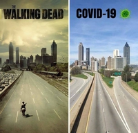 quand la réalité dépasse la fiction