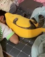 Banana 