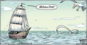 Drôle de baleine