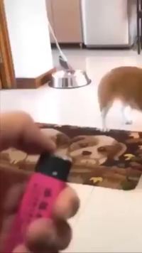 Le maître du feu en action