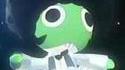 Afrofrog
