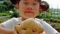 Tête de patate