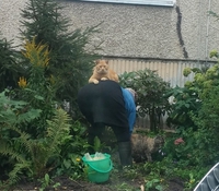 La place du chat