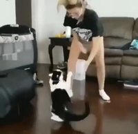 Femme vs chat