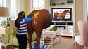 Le Wii Horse plus