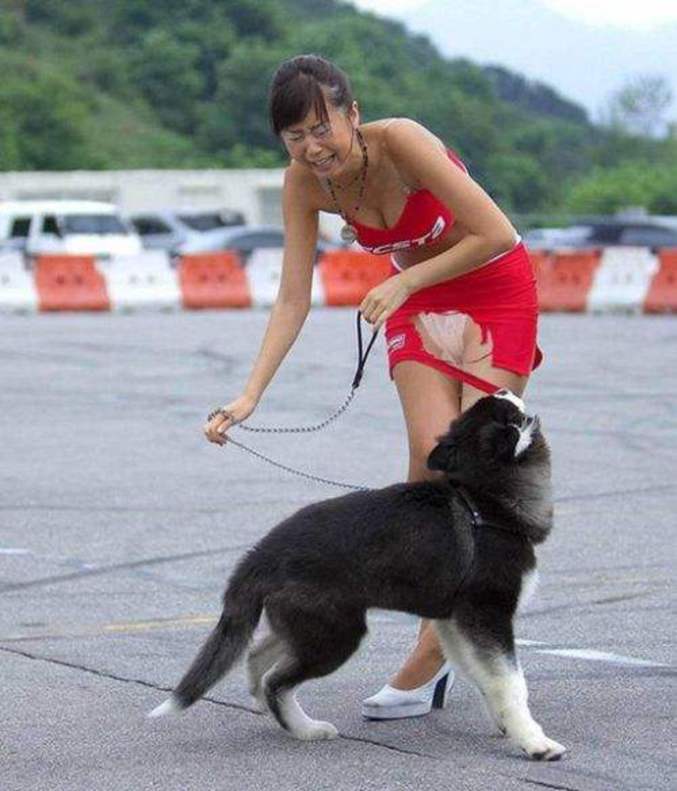 Une jeune femme agressée par un chien sans gêne.