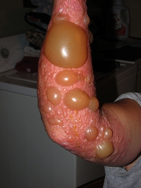 Quelque chose cloche sur cette photo, le remarquerez vous?
